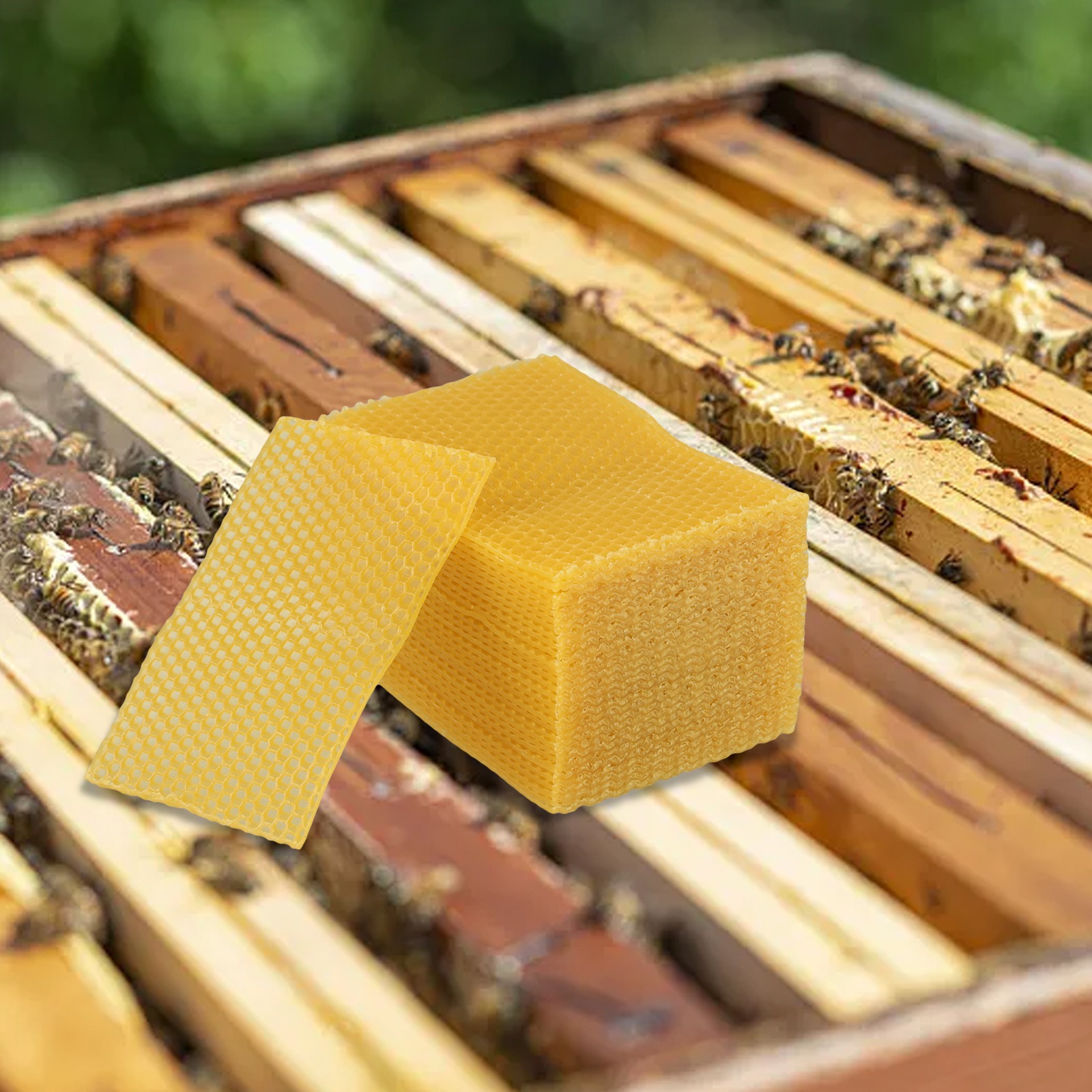 5.24 X 3.54 Bijenwasplaten voo - Candle Making Kit Beeswax recensie en prijs